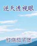 逆天透视眼