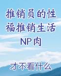 推销员的性福推销生活NP肉