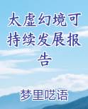 太虚幻境可持续发展报告
