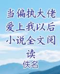 当偏执大佬爱上我以后小说全文阅读