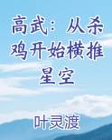 高武：从杀鸡开始横推星空