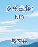 多项选择(NP)
