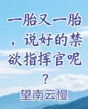 一胎又一胎，说好的禁欲指挥官呢？