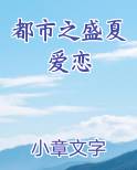 都市之盛夏爱恋