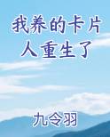 我养的卡片人重生了