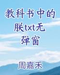 教科书中的朕txt无弹窗免费阅读