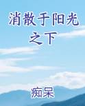 消散于阳光之下