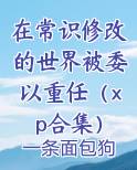在常识修改的世界被委以重任（xp合集）