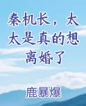 秦机长，太太是真的想离婚了