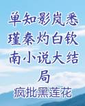 单知影岚悉瑾秦灼白钦南小说大结局