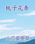 栀子花香原著小说