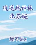 逍遥战神林北苏婉免费阅读笔趣阁