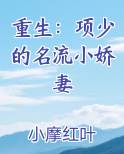 重生：项少的名流小娇妻
