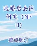逃婚后去往何处（NPH）