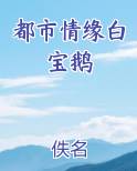 都市情缘白宝鹅