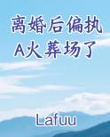 离婚后偏执A火葬场了在线阅读全文