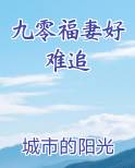 九零福妻好难追小说推荐