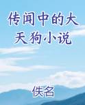 传闻中的大天狗小说