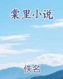 棠里小说