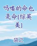 吗喽的命也是命[综英美]