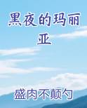 黑夜的玛丽亚