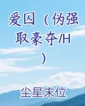 爱囚（伪强取豪夺/H）