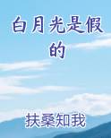 白月光是假的