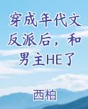 穿成年代文反派后，和男主HE了