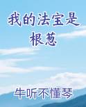 我的法宝是根葱