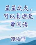 星星之火，可以复燃免费阅读