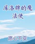 库洛牌的魔法使