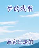 梦的残骸排行榜