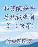 和男配分手后我被爆肏了（快穿）