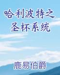 哈利波特之圣杯系统排行榜完结版