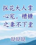 探花大人掌心宠，糟糠之妻不下堂小说短剧