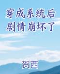 穿成系统后剧情崩坏了