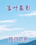 落叶暮影