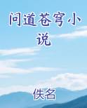 问道苍穹小说