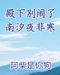殿下别闹了南汐夜非寒
