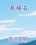 非顽石