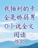 我抽到的卡全是娇弱男O小说全文阅读