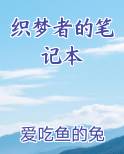 织梦者的笔记本