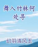 舞入竹林何处寻