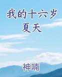 我的十六岁夏天