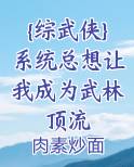 {综武侠}系统总想让我成为武林顶流