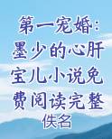 第一宠婚：墨少的心肝宝儿小说免费阅读完整版
