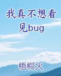 我真不想看见bug