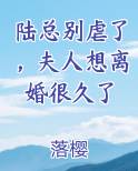陆总别虐了，夫人想离婚很久了