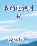 我的电视时代