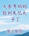 大奈男妈妈捡到失忆太子了